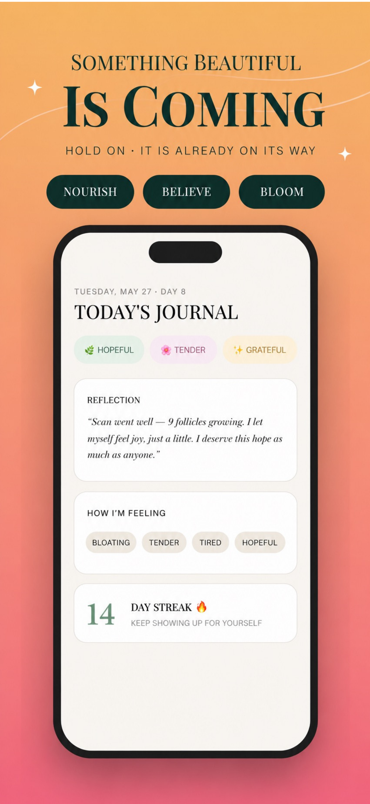 IVF journal